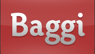 Baggi. Best bag for you!